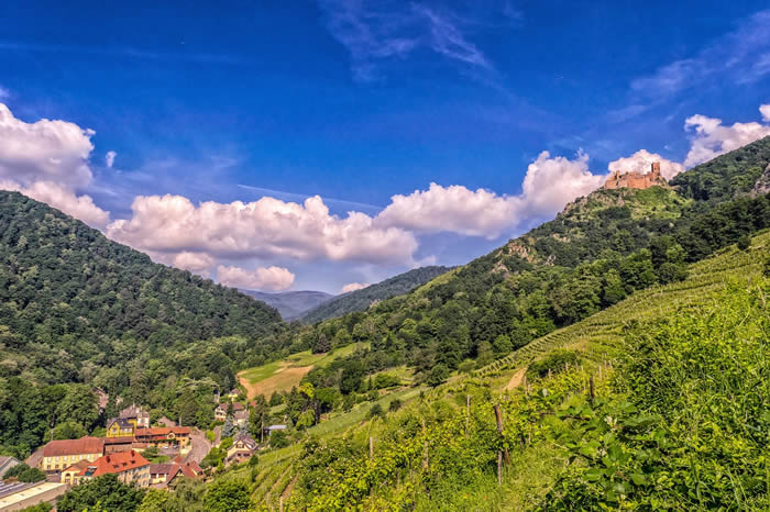 Paysage magnifique de Vosges en France